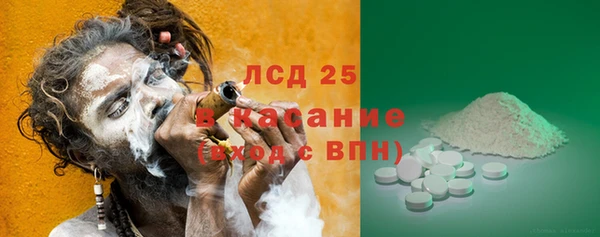 гашик Новокубанск