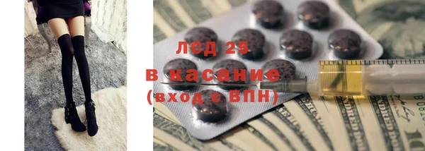 гашик Новокубанск