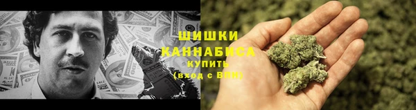 гидропоника Новозыбков