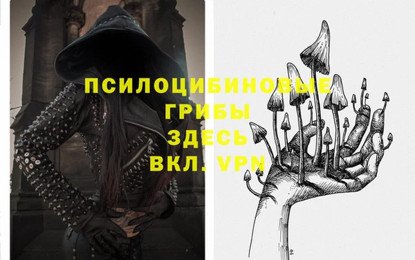 гидропоника Новозыбков