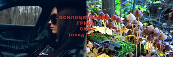 ГАЛЛЮЦИНОГЕННЫЕ ГРИБЫ Новодвинск