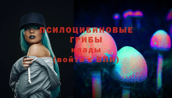 ГАЛЛЮЦИНОГЕННЫЕ ГРИБЫ Нефтекумск