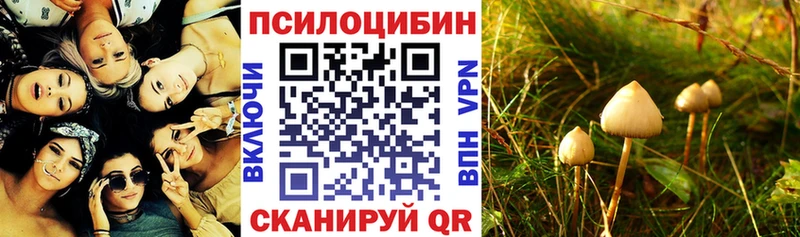 hydra онион  Ковдор  Галлюциногенные грибы Magic Shrooms 